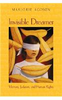 Invisible Dreamer