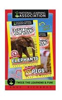 Everything You Should Know About: Elephants and Pigs