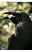 The Crows Notebook