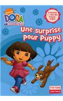 Dora Poche 4 Une Surprise Pour Puppy