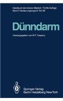Dunndarm B