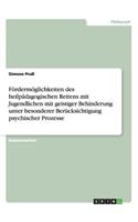Fördermöglichkeiten des heilpädagogischen Reitens mit Jugendlichen mit geistiger Behinderung