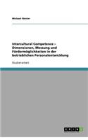 Intercultural Competence - Dimensionen, Messung und Fördermöglichkeiten in der betrieblichen Personalentwicklung