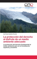 La protección del derecho al disfrute de un medio ambiente adecuado