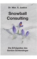 Snowball Consulting