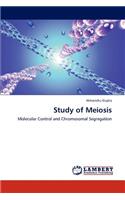 Study of Meiosis