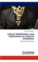 Labour Mobilization and Exploitation in Colonial Zimbabwe