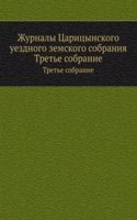 Zhurnaly Tsaritsynskogo uezdnogo zemskogo sobraniya