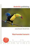 Red-Handed Tamarin