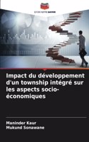 Impact du développement d'un township intégré sur les aspects socio-économiques