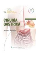 Tecnicas En Cirugia General. Cirugia Gastrica