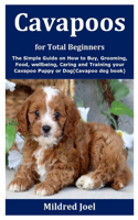 Cavapoos for Total Beginners
