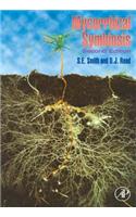 Mycorrhizal Symbiosis