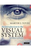 Introduction to the Visual System
