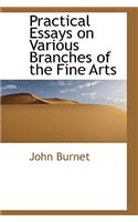 Practical Essays on Various Branches of the Fine Arts