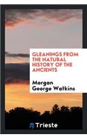 Gleanings from the Natural History of the Ancients