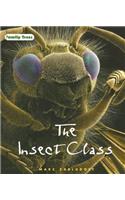 Insect Class