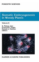 Somatic Embryogenesis in Woody Plants