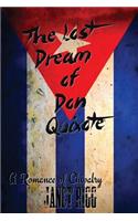 Lost Dream of Don Quixote