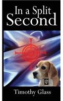 In a Split Second: A Connor Maxwell Mystery