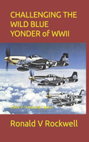 Challenging the Wild Blue Yonder of WWII