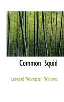 Common Squid