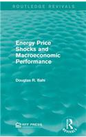 Energy Price Shocks and Macroeconomic Performance