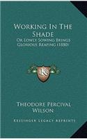 Working in the Shade: Or Lowly Sowing Brings Glorious Reaping (1880)