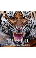 Tiger * the Beautiful Predator 2018