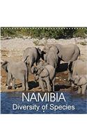 Namibia Diversity of Species 2018