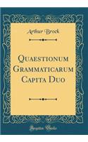 Quaestionum Grammaticarum Capita Duo (Classic Reprint)