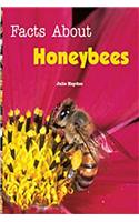 Facts about Honeybees