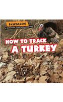 How to Track a Turkey