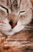 Para Onde Os Gatos Vão Quando Dormem