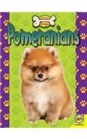 Pomeranians: (All about Dogs)