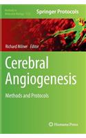 Cerebral Angiogenesis