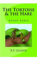 The Tortoise & the Hare