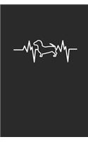 Dachshund Heartbeat