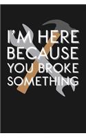 I'm Here Because You Broke Something