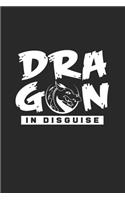 Dragon in disguise