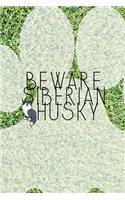 Beware Siberian Husky