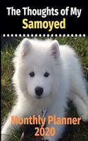 The Thoughts of My Samoyed