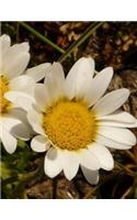 Flowers Notebook Large Size 8.5 x 11 Ruled 150 Pages Softcover