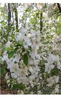 Springtime 2019 Weekly Planner Open White Flowers 134 Pages: (Notebook, Diary, Blank Book)(2019 Planners Calendars Organizers Datebooks Appointment Books Agendas)