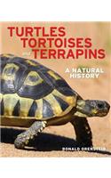 Turtles, Tortoises and Terrapins