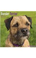 Border Terrier Calendar 2018