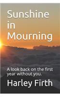 Sunshine in Mourning: A look back on the first year without you.