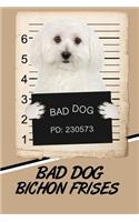 Bad Dog Bichon Frises