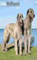 Irish Wolfhound 2023 Wall Calendar