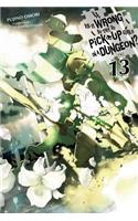 Is It Wrong to Try to Pick Up Girls in a Dungeon?, Vol. 13 (light novel)